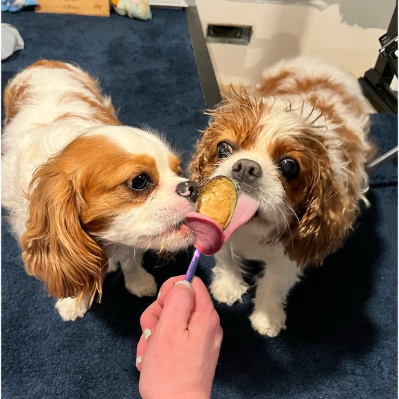 Meet your Posher, Becca - Picture 4 of 5